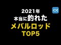 【メバル】全国のアングラーが選ぶ値段別メバルロッドランキングTOP5！270万釣果が集まるANGLERSが紹介！#メバリングX #BlueCurrent Ⅲ#BlueCurrent TZ/NANO