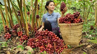 FULL VIDEO: 120 Days Harvest Cardamom, Melons, Green Beans, Fruits Sold at the market |  Daily life