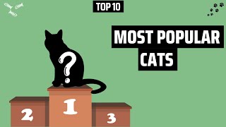 Top 10 Most Popular Cat Breeds In The World