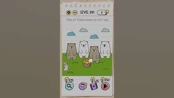 Brain Test Level 291 || One of these Bears is not real