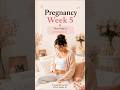 Week 5: Baby's Heart Forming? #pregnancyweekbyweek #pregnancycare #momtobe