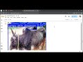 Lumpy skin disease pridiction model | YOLO V11 | Deep Learning