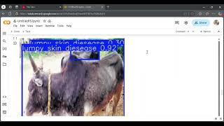 Lumpy skin disease pridiction model | YOLO V11 | Deep Learning