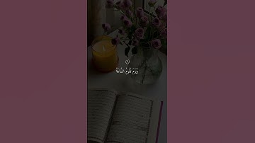 سورة الجاثية #ماهر_المعيقلي #القرآن_الكريم #تلاوة_خاشعة #ارح_قلبك #foryou #اكسبلور #تيك_توك  #quran
