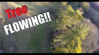 FPV Tree Flowing!!