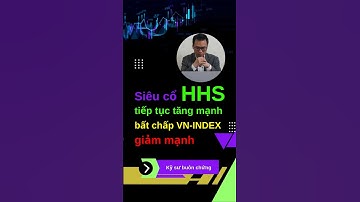 Siêu cổ phiếu HHS vẫn tiếp tục tăng mạnh bất chấp VN-INDEX giảm mạnh