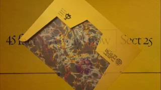SECTION 25  LP limitee edit  friendly fire and dirty disco