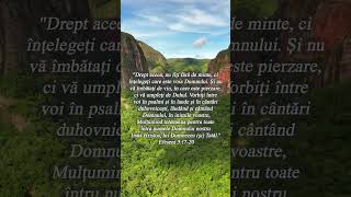 BUCURIA adevărată! ✨ Efeseni 5:17-20 #DuhulSfant #Recunostinta