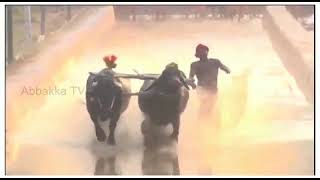 Thatebuttimaranander