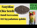 Faayidaa Chia Seeds የቺያ ዘር ጥቅሞች Boca Qaama Keenyatiif Bareedinna Gogaa Keenyaatiif