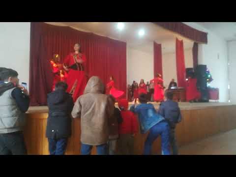 საახალწლო კონცერტი ღორჯომში