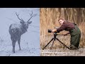 Wild czechia  my best wildlife encounters of 2018