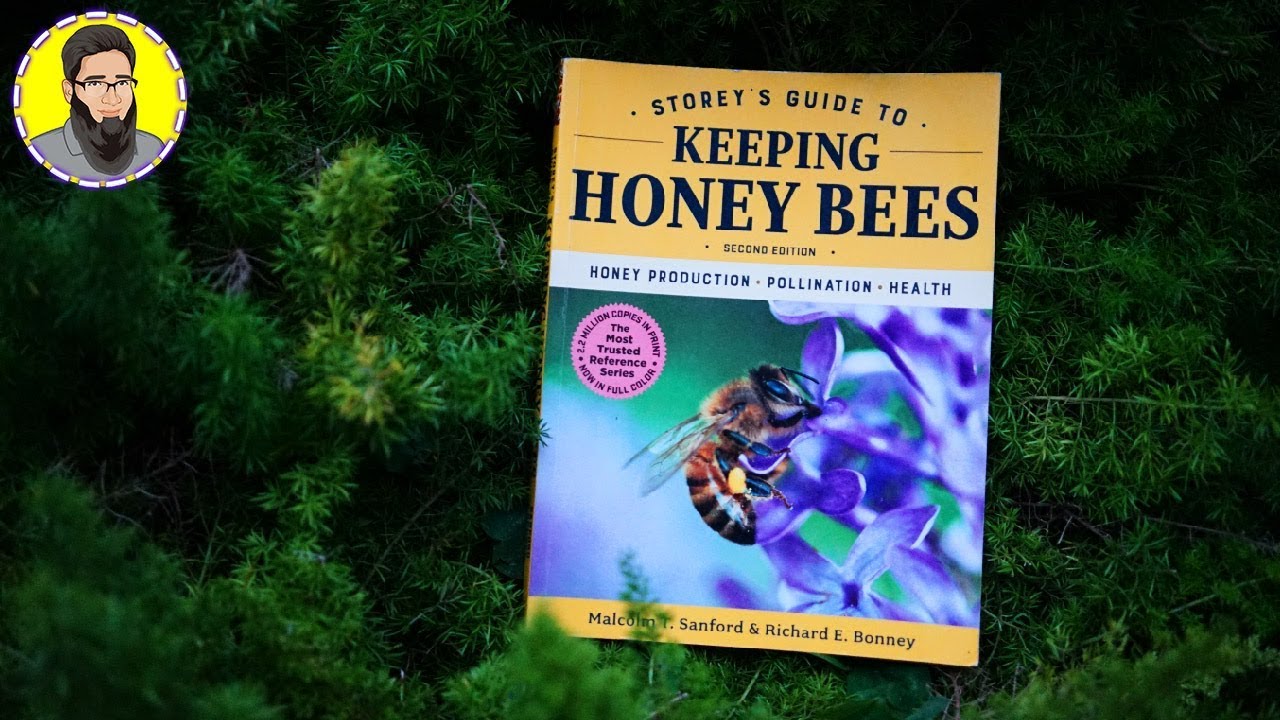 Excelsior College Worth It Review Youtube