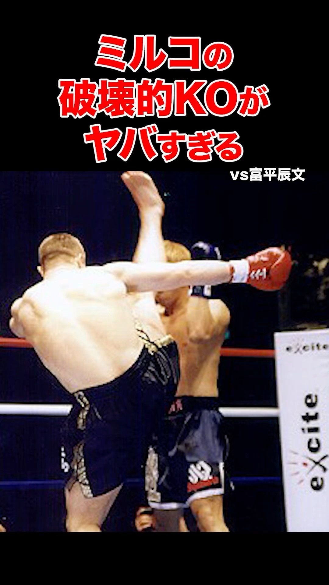 ミルコクロコップのK-1で刻んだ破壊的KO試合 #shorts#K-1#格闘技