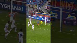 Pech Piasta, Szczęście Bednarka