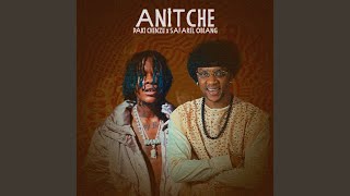 ANITCHE screenshot 4