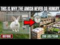 The AMISH Rabbit System That Produces 200 POUNDS of Meat Every Year