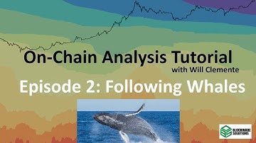 Bitcoin On Chain Analysis: Following Whales