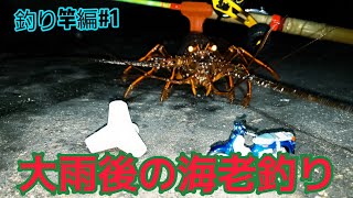 Johnnyの穴釣り竿、和洋折衷竿紹介✿【H】ヘビーロッド9ミリ編✿