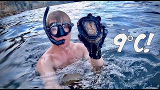 Abalone Catch n Cook: 9°C Water + Boardshorts!