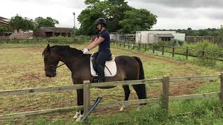 Lkf Online Dressage. Cl 4