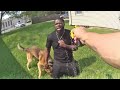 Racine County K-9 Chomps Down On Fleeing Suspect Being Tased