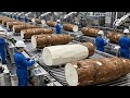 How Cassava Flour Is Made | Inside America’s Largest Cassava Processing Plant (Full Process)