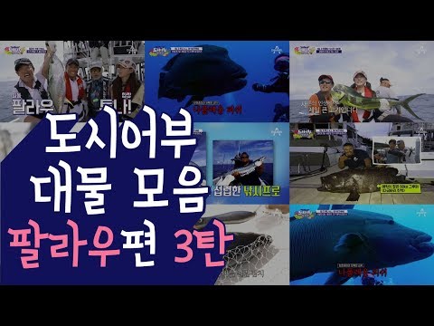 [도시어부 몰아보기] 대물 모음 <strong>팔라우</strong> 특집 3탄 | 채널A