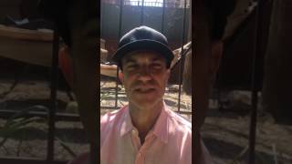 David P Rapaport, MDs hair restoration journey! Part 8