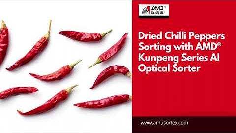 Red Chilli Peppers Sorting With Our AI Deep Learning Sorter
