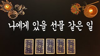 [타로카드] 나에게 있을 선물 같은 일 🎁