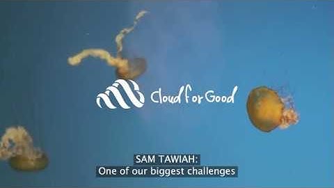 The National Aquarium - Transforming the Customer Experience with Salesforce Marketing Cloud