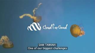 The National Aquarium - Transforming the Customer Experience with Salesforce Marketing Cloud