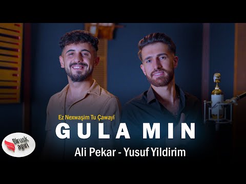 ALİ PEKAR Feat YUSUF YILDIRIM - GULA MIN (Ez Nexwaşim Tu Çawayi)