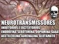 Vídeo Aula 147 - Sistema Nervoso - Neurotransmissores: Serotonina, Dopamina e Endorfinas | Anatomia
