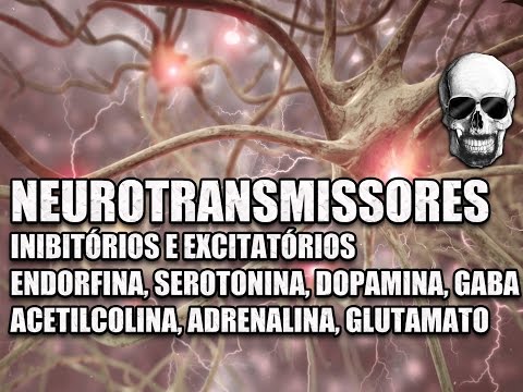 Vídeo: Qual é a relação entre um receptor e um neurotransmissor?