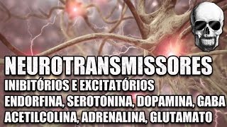 Vídeo Aula 147 - Sistema Nervoso - Neurotransmissores: Serotonina, Dopamina e Endorfinas | Anatomia
