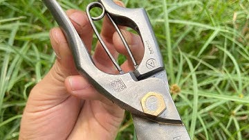 Thành Nhân Bonsai. Kéo cắt cành chữ A bông lúa size 23cm.đồ Nhật bãi.sdt liên hệ 0824549190