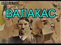 ВЗЛОМ КАМЕРЫ: ГЛАД ВАЛАКАС О ШМ*РАХ