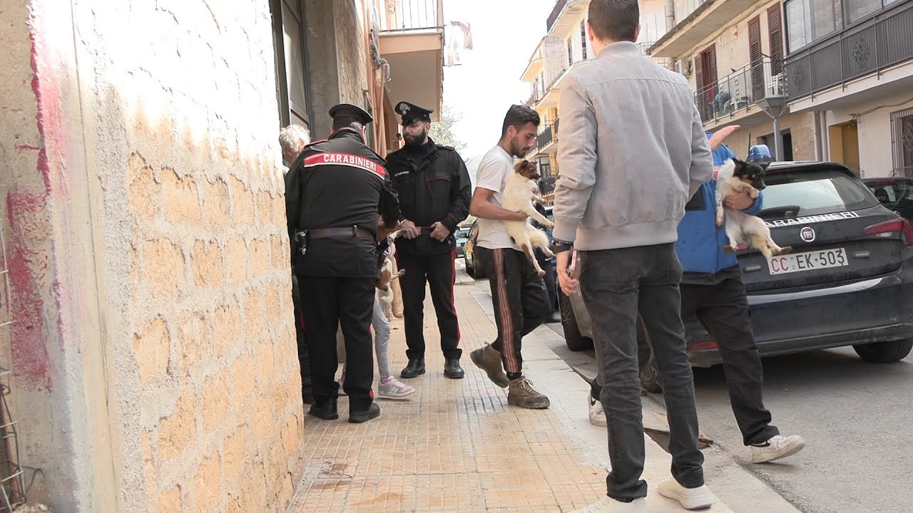 4 CANI VIVONO IN GARAGE AL BUIO - SCATTA IL BLITZ