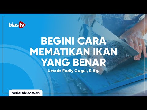 Video: Cara Menyembelih Ikan Haring