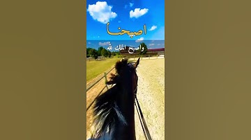 #اذكار_الصباح #صباحكم_سعاده #حالات_واتس_اب 🦋🍃🌻