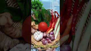 Bumbu Tomyam