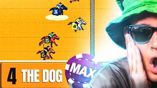 GRAM W WYŚCIGI KONNE 🐎 (testuję tylko szalone gry) screenshot 4