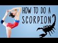 Get Your Scorpion!! Gymnastics Flexibility Stretch Tutorial, Follow Along Workout Routine at Home