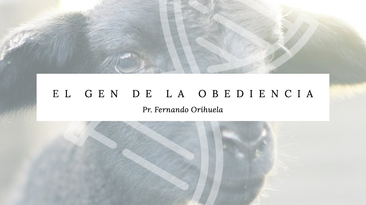 El gen de la obediencia // Ap. Fernando Orihuela// Congregación Nueva Mente