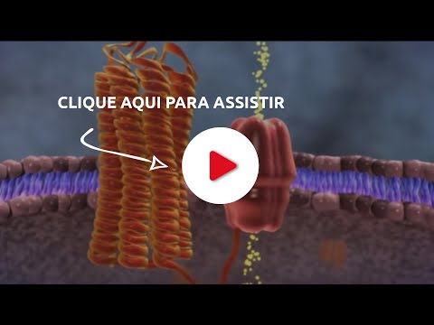 Novo movimento sexual devolve a potência a homens 50+ - Novo movimento sexual devolve a potência a homens 50+