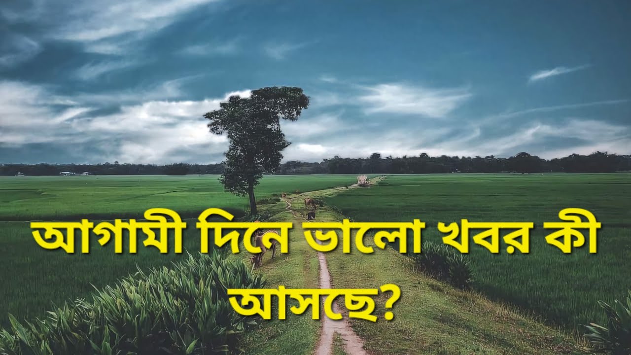 আগামী দিনে কী কী সুখবর আসছে আপনার জীবনে? #energyforecast #goodnewscoming #blessingscomingyourway