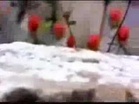 You Make Me Feel So Good - BOOK OF LOVE