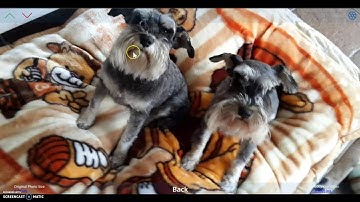 Consuming Content Leveraging the Graph API within PowerApps using Flow